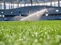 陈乔恩携男,友艾伦与舒,淇欢聚,平博体育官网,APP下载,注册领彩金,官方网站,网站入口