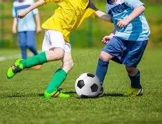 独家揭秘,利物浦若挥,别斯洛特,平博体育官网,APP下载,注册领彩金,官方网站,网站入口