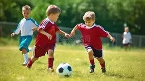 亚泰足球传奇：资金困境中的涅槃重生记