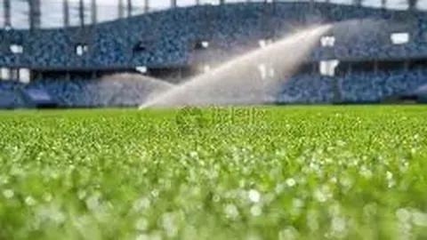 意大利与乌克兰战平，携手挺进欧洲杯决赛圈